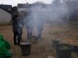 Cliquez sur l'image enfumages Villev�que 02/09 pour la voir en grand - Donaint-Bonave - enfumages Villev�que 02/09